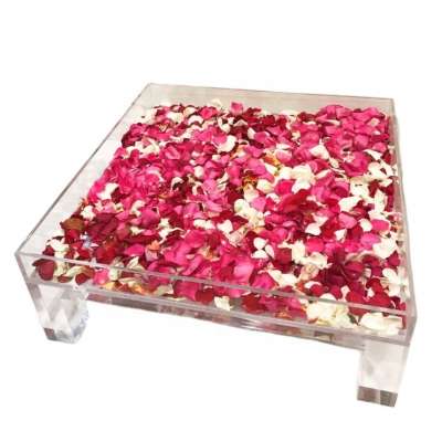 Modern Clear Acrylic Tray Table